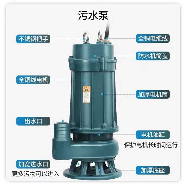 清水泵 4KW 口径DN65 扬程 15米图2