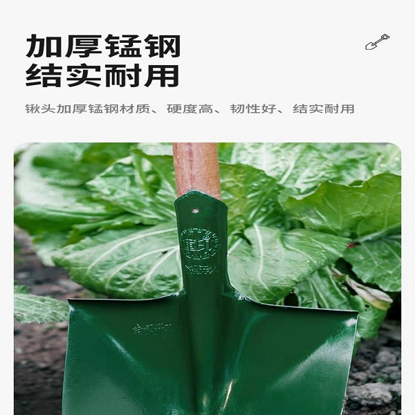 尖头铁锹  带把（把长1.5m）图6
