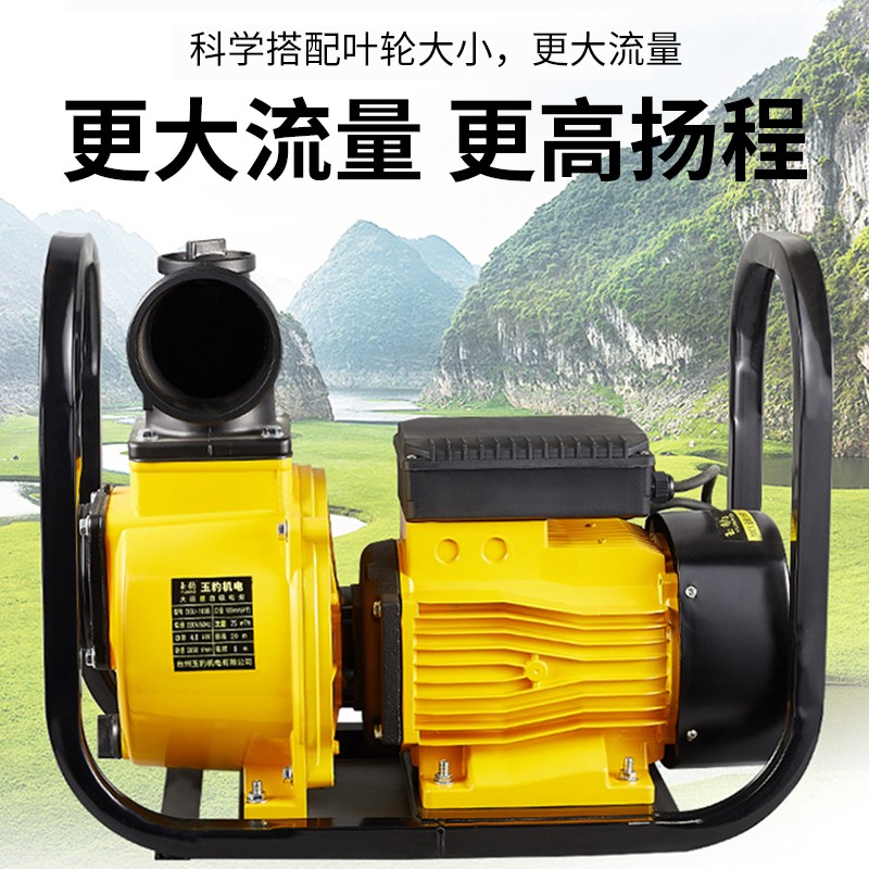 大功率自吸泵（380V 4KW 扬程55m 口径2寸 ）图4